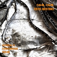 Este Destino (Remix) - Single - Camil Camil