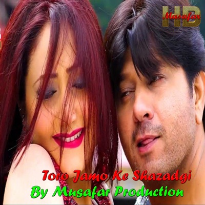Torro Jamo Ke Shahzadgi - Single