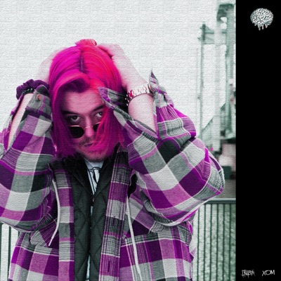 COMING WIT the PUNCHES (feat. Drugsta) - Single