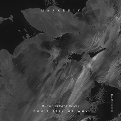 Don't Tell Me Why - Single