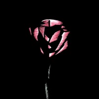 My Way (feat. JayO) - Single - CORTANA