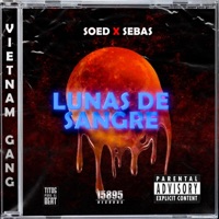 Lunas de sangre (feat. Elsoed) - Single - Sebas15895
