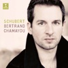 Bertrand Chamayou