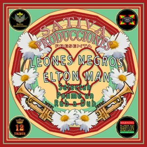 Selectah Ponme Un Rub a Dub - Single
