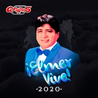 Elmer Vive 2020 (En Vivo) - Grupo 5