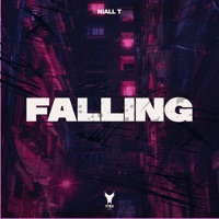 Falling - Niall T