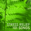 Stress Relief 101: Anxiety Help - Patsy Doyle