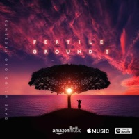 Mi Todo (feat. Yin, Marco Vernice & Keller Gospel) - Single - Dave Melodioso