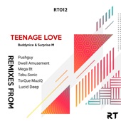 Teenage Love (feat. Surprise M) [Tebu.Sonic's Sonitech Mix] artwork