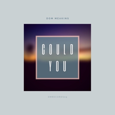 Could You - Single