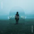 Sufletul meu