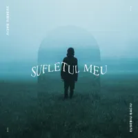 Sufletul Meu — Eusebiu Baciu