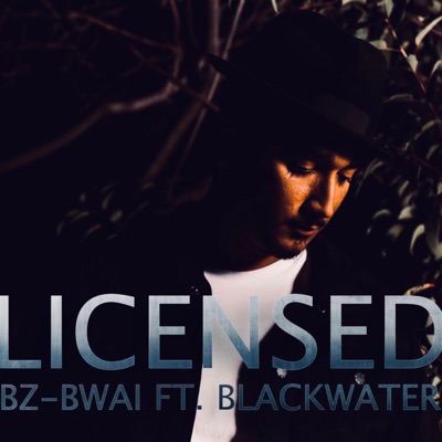 Licensed (feat. Blackwater) - Single