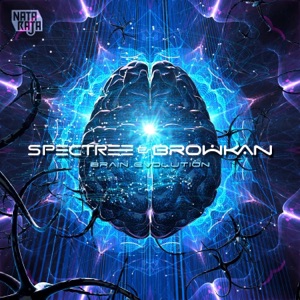 Brain Evolution - Single