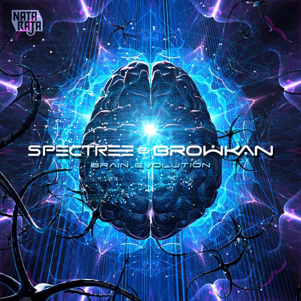 Brain Evolution - Single