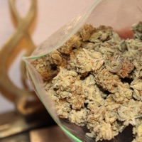 Mj - Single - I'l Pradagy