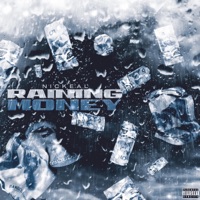 Raining Money - Single - Nickeal