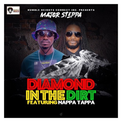 Diamond in the Dirt (feat. Nappa Tappa) - Single