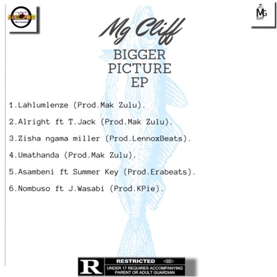 Bigger Picture - EP