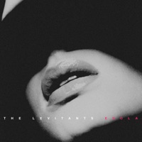 The Levitants Ablum Cover