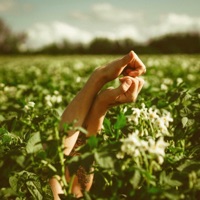 Lost in the Sound - Single - Julia Gartha, Beane & Ariza