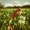 Lost in the Sound - Julia Gartha, Beane & Ariza lyrics