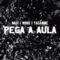 Pega a Aula (feat. Yagamme & Nonô) - Single - Nauí