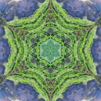 Offering to the Earth - Single - Kompass