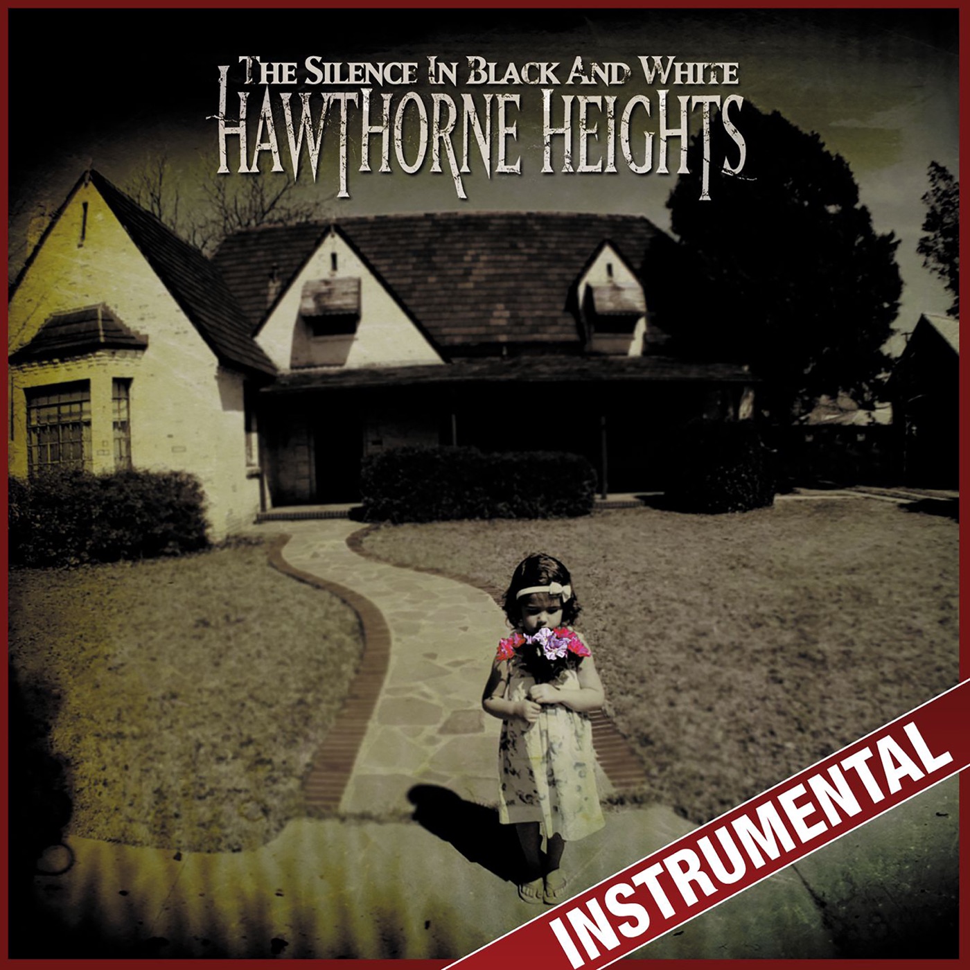 The Silence In Black And White by Hawthorne Heights