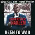 Been to War