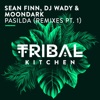 Sean Finn - Pasilda (DJ Kone & Marc Palacios Remix)