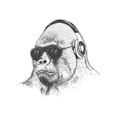 聆聽 D1scostu、觀看音樂影片、閱讀小傳、查看巡演日期等！