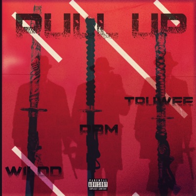 Pull Up (feat. WILDD & PBM) - Single