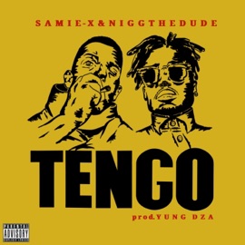 Tengo (feat. Niggthedude) Samie-X