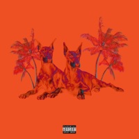 Casa De Perreo (feat. Stadium) - Single - Saso