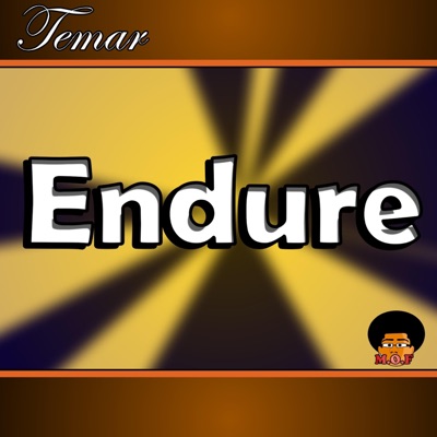 Endure (Instrumental) - Single