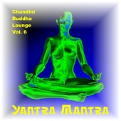 Chandini Buddha Lounge, Vol. 6 artwork