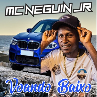 Voando Baixo - Single