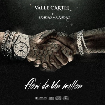 Flow De Un Millon (feat. Sandro Malandro) - Single