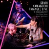 SENRI KAWAGUCHI TRIANGLE LIVE IN YOKOHAMA 2017 (feat. Philippe Saisse & Armand Sabal-Lecco)