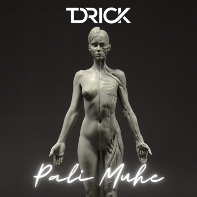 Pali Muhe (feat. Jeon, Ritmo Real & Moww) - Single