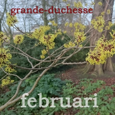 Februari