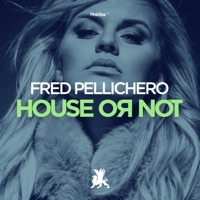 House or Not - Single - Fred Pellichero
