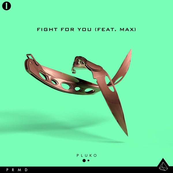 Fight for You (feat. MAX) - Single - pluko