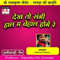 Dekh To Sangi Hal Ma Behal Hoge Re (Best Cg Song) - Single - Nilkamal Vaishnav