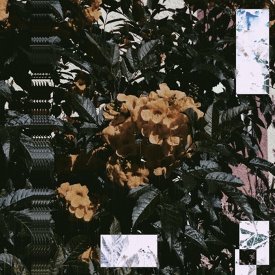 Meadows (feat. Atreetalking) - Single