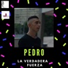 La Verdadera Fuerza - Single