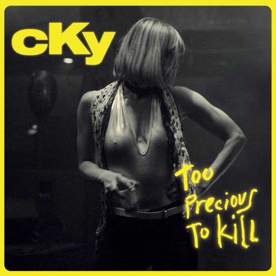 Cover artwork for Fists To the Sky