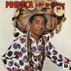 Carimbó Do Macaco cover art