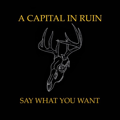 Say What You Want - Single